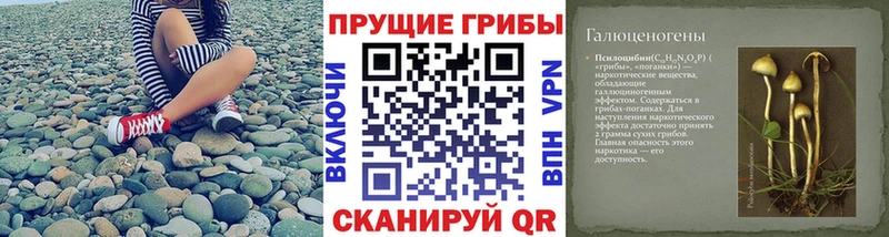 Псилоцибиновые грибы GOLDEN TEACHER  Мариинск 